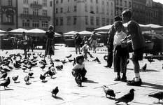 Rynek