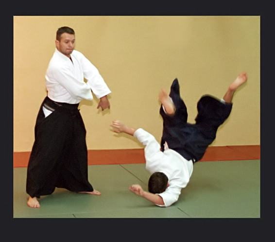 aikido 2