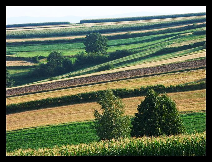 Wycinek rzeczywistości