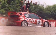 Pugi 206 WRC  60 Rajd Polski