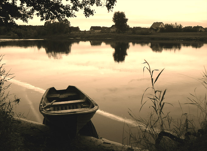 Narew