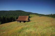 Polana Podskały w Gorcach