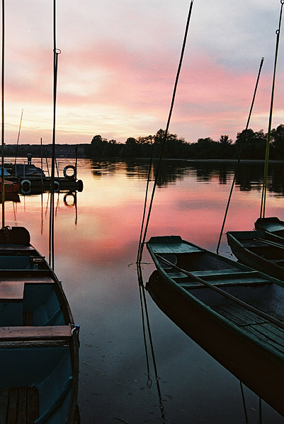 Narew