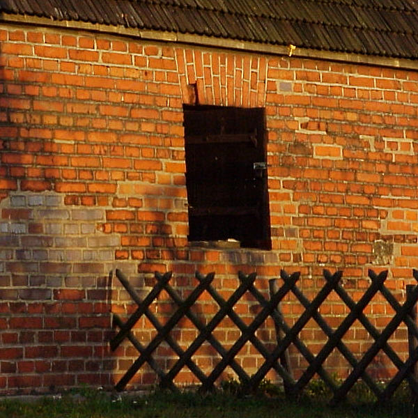 the wall. no i the płot oczywiście.