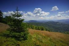 Beskid Wyspowy