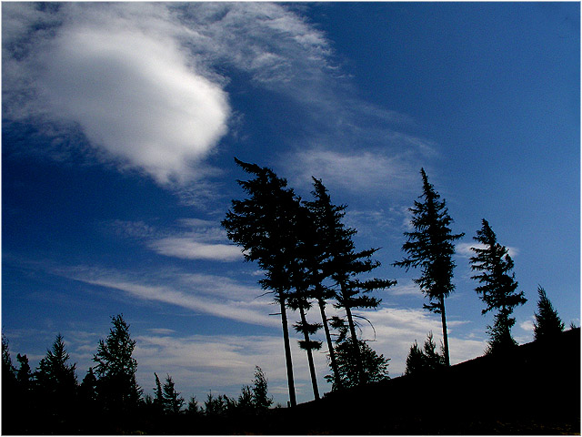 ...I see skies of blue and clouds of white...