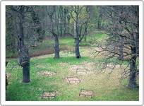 Puszcza Bialowieska VII - Old oaks in Park Palacowy