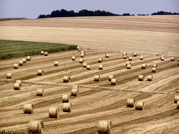 Francja