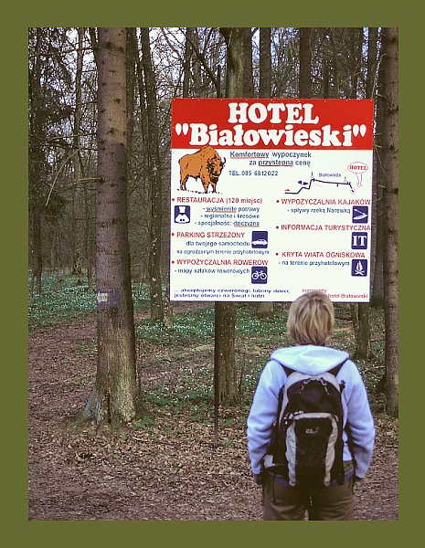 Puszcza Bialowieska VIII - Commerce in the forest