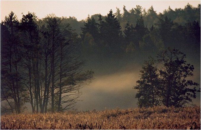 6 rano gdzieś na Podlasiu