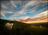 Long Mynd Hill