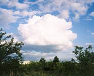 cumulus congestus