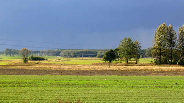 to już jesień