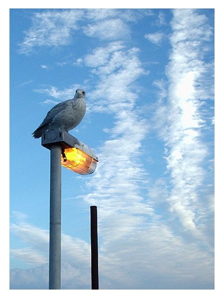 Vlissingen