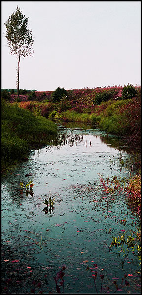 Plener nad Wartą