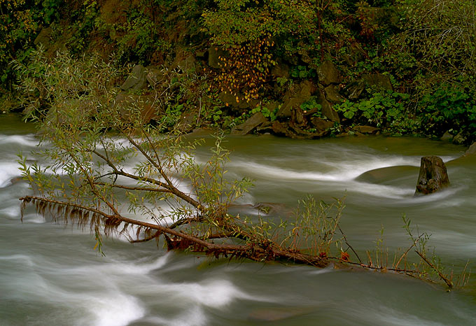 Wetlinka - Sine Wiry