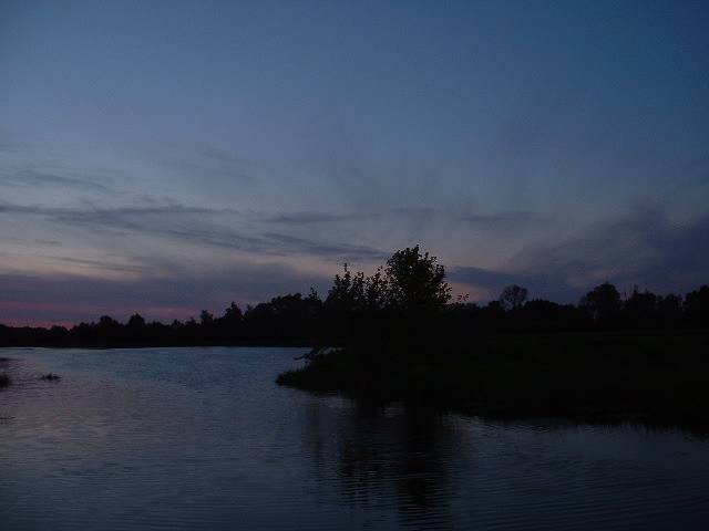 Narew - Łubienica