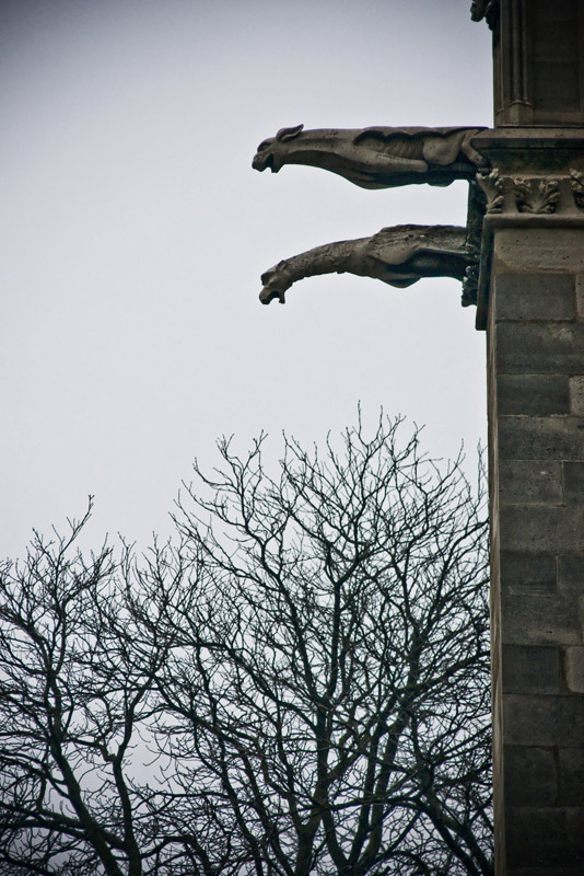 Gargoyles