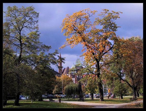 Do Wrocławia jesień też dotarła...