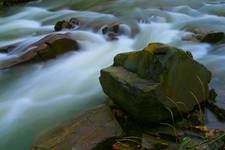 Sine Wiry - Bieszczady