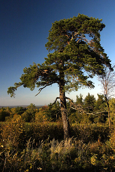 Bieszczady jesień 2003