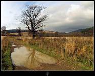 Beskid Niski