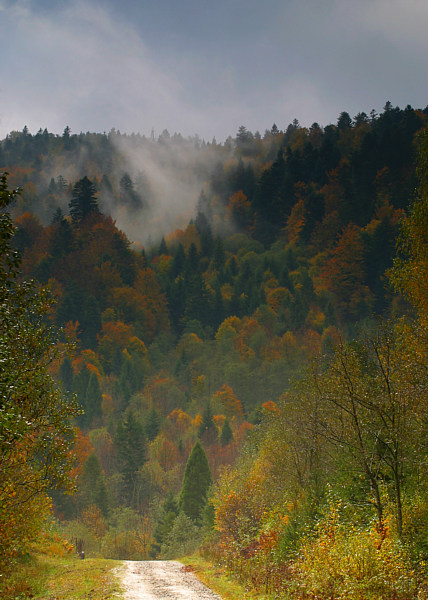 Sine Wiry - Bieszczady