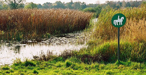 tylko dla centaurów