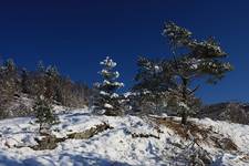 Norwegian winter