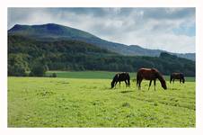 Bieszczady