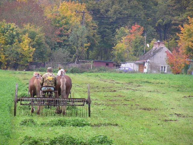 Oliwa, Dolina Radości