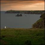 Stackpole Quay