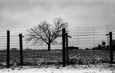 Majdanek