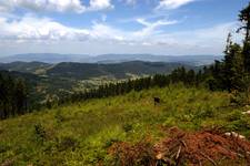 Widok na Sopotnie Małą i Beskid Żywiecki