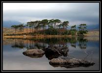 CONNEMARA