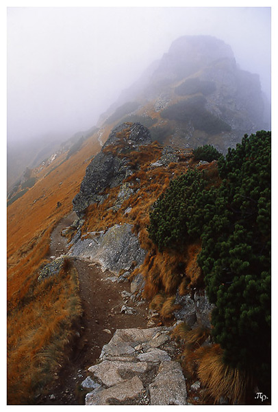 Tatry #5