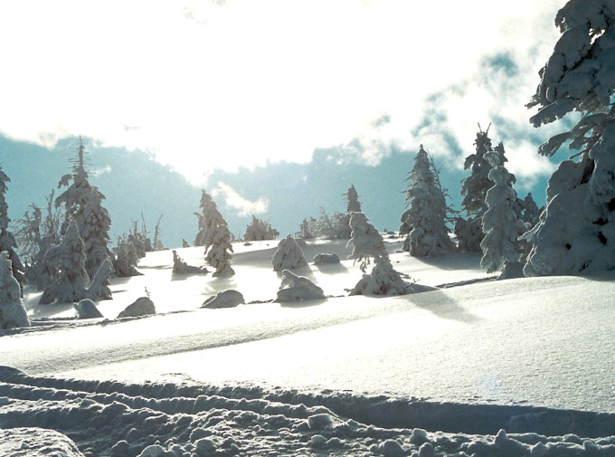 Karkonosze pod Szrenicą