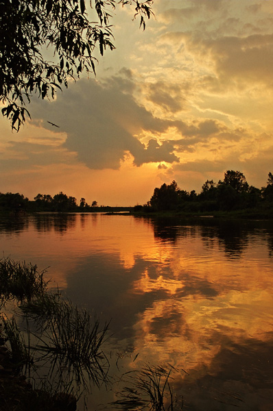 Narew królowa-Mazowsza