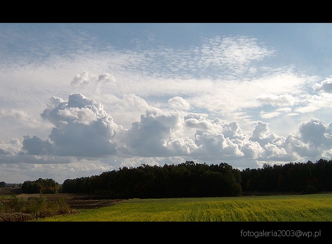 ...nadciąga flota...