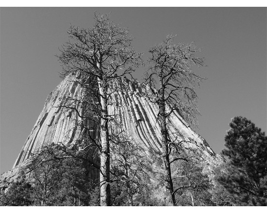 Devil`s Tower, Wy