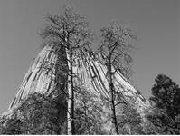 Devil`s Tower, Wy