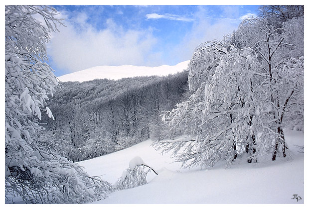 Bieszczady #1