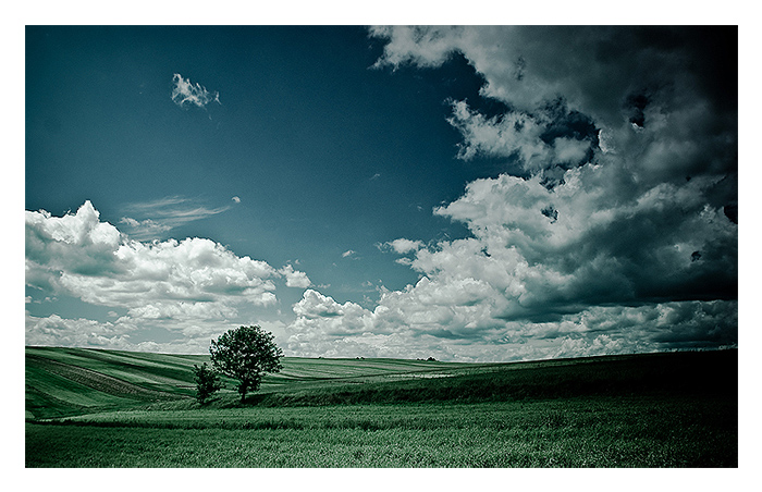 prawie jak toscana...