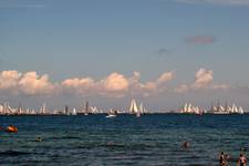 The Tall Ships Races