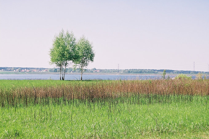 Pejzaż