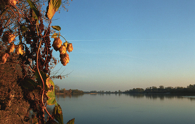 Wieczór nad Wisłą I