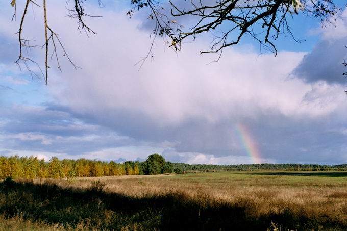 wspomnienia teczą malowane