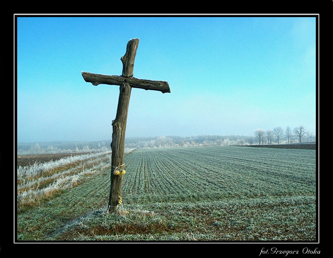 Krzyż polny