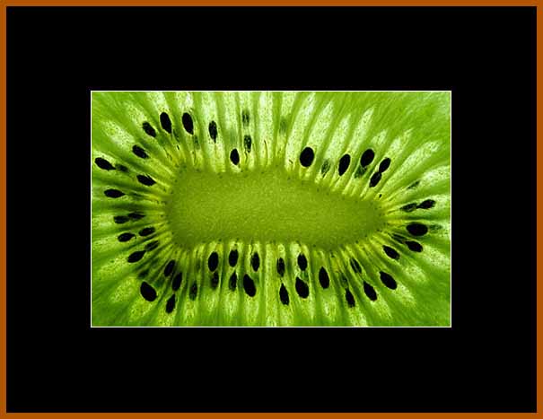 KIWI