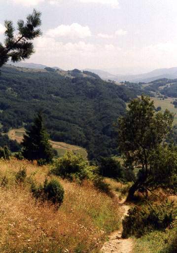 Połonina Wetlińska.